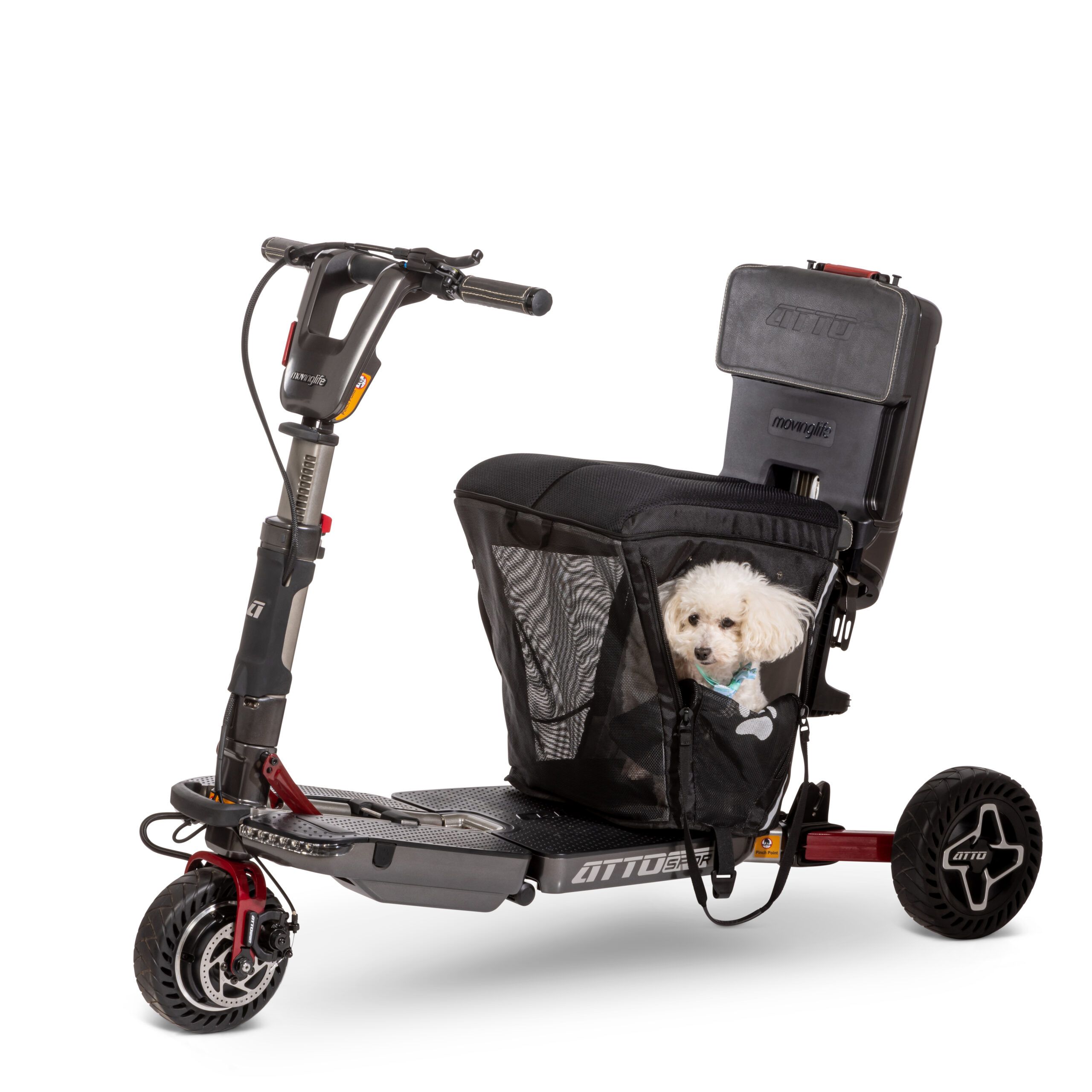 Pet carrier + dog