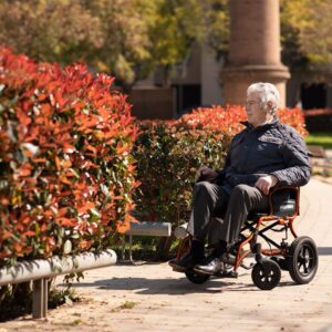 Carrozzina Pieghevole Martinika EVO - immagine 2